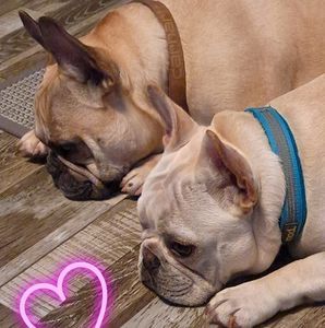 Meet your Posher, Wendy